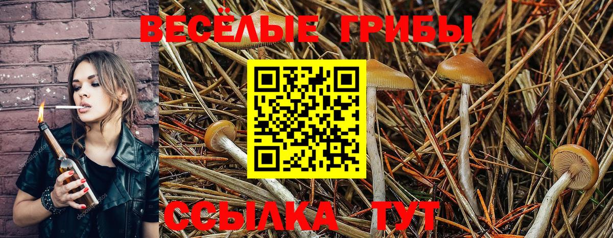 Псилоцибиновые грибы Psilocybine cubensis  Галлюциногенные грибы Psilocybe  Вход с VPN  Соль-Илецк 
